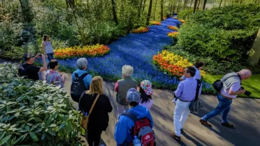 [BDM - KHA] Keukenhof - Adminkost